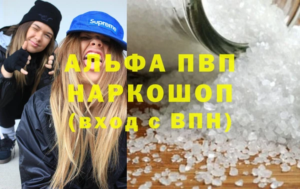 apvp Вяземский