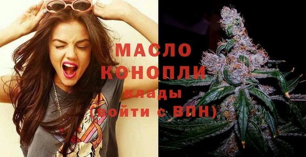 мет Дмитров