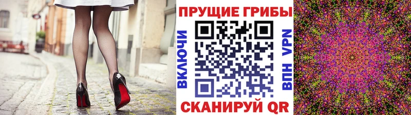 Псилоцибиновые грибы ЛСД  магазин продажи наркотиков  гидра ссылки  Гремячинск 
